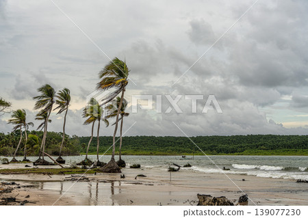 The beautiful Caju-una beach, by the Amazon river mouth, in Soure, Marajo island, Brazil. 139077230