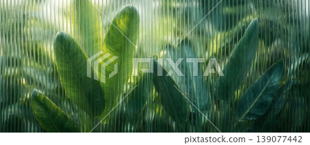 Tropical leaves behind a translucent ribbed glass pane. Tropical leaves behind a translucent ribbed glass pane. 139077442