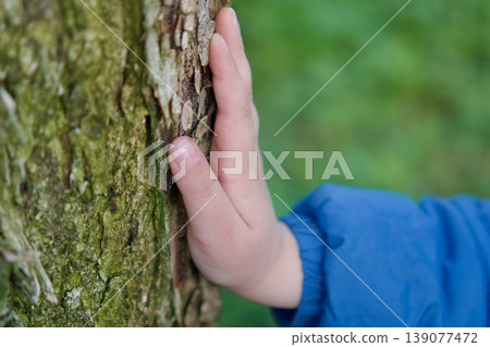 Child's hand touching the bark of an old tree, nature connection concept Child's hand touching the bark of an old tree, nature connection concept 139077472