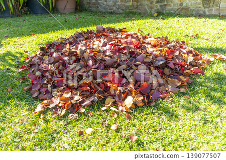 A pile of Autumnal leaves on the ground in a garden 139077507