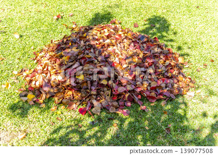 A pile of Autumnal leaves on the ground in a garden 139077508