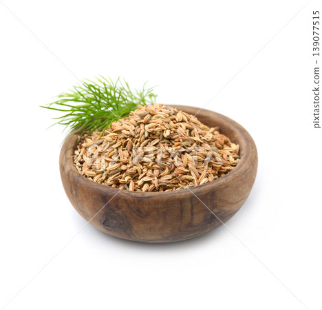 Dried seed fennel with twig fennel on white backrounds Dried seed fennel with twig fennel on white backrounds 139077515