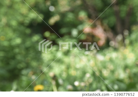 The blurred green of the leaves of trees in the sunlight and glare. Green blur nature background.Landscape of trees park The blurred green of the leaves of trees in the sunlight and glare. Green blur nature background.Landscape of trees park 139077652