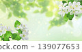 Fresh green spring leaves glowing softly in warm sunlight rays. 139077653