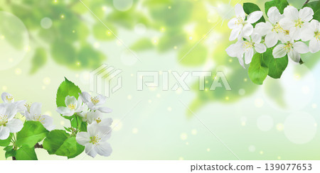 Fresh green spring leaves glowing softly in warm sunlight rays. 139077653