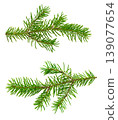 Set of fresh fir tree branches with soft green needles, captured in close-up and isolated on white without shadow for creative use. 139077654
