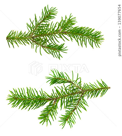 Set of fresh fir tree branches with soft green needles, captured in close-up and isolated on white without shadow for creative use. Set of fresh fir tree branches with soft green needles, captured in close-up and isolated on white without shadow for creative use. 139077654