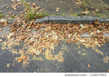 Autumnal leaves scattered on a pedestrian footpath Autumnal leaves scattered on a pedestrian footpath 139077843