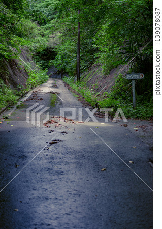 雨後，通往艾納瑪石入口的靜謐小路被綠意環繞。 139078087