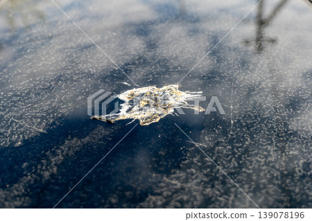 A mark is visible on the surface of a car hood. This mark shows where something has struck the paint, likely while driving A mark is visible on the surface of a car hood. This mark shows where something has struck the paint, likely while driving 139078196