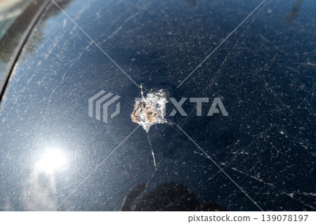 Bird left a piece of food on the surface of a black car parked outside in sunlight Bird left a piece of food on the surface of a black car parked outside in sunlight 139078197
