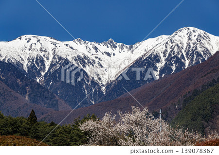Spring Central Alps Spring Central Alps 139078367
