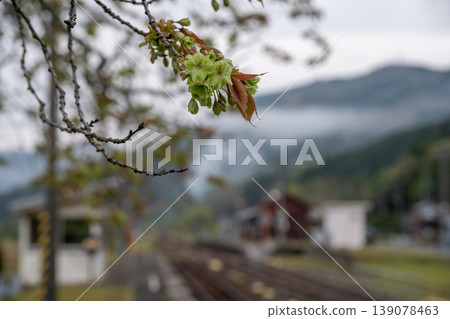 A beautiful and old railway station in Niimi City, Okayama Prefecture, Japan. A beautiful and old railway station in Niimi City, Okayama Prefecture, Japan. 139078463