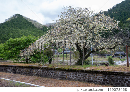 日本岡山縣新見市一座美麗而古老的火車站。 日本岡山縣新見市一座美麗而古老的火車站。 139078468