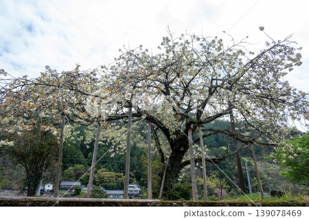 日本岡山縣新見市一座美麗而古老的火車站。 日本岡山縣新見市一座美麗而古老的火車站。 139078469