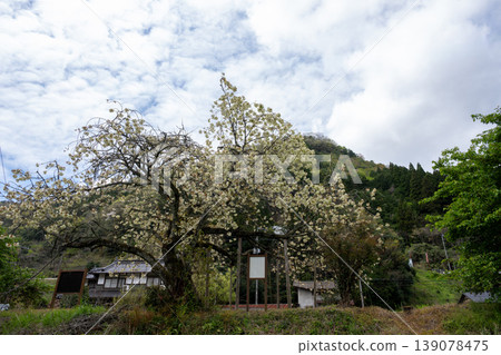 A beautiful and old railway station in Niimi City, Okayama Prefecture, Japan. A beautiful and old railway station in Niimi City, Okayama Prefecture, Japan. 139078475