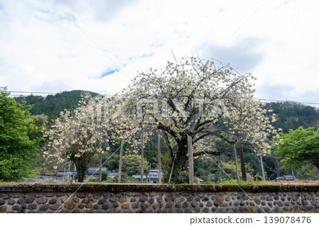 日本岡山縣新見市一座美麗而古老的火車站。 日本岡山縣新見市一座美麗而古老的火車站。 139078476