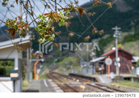 日本岡山縣新見市一座美麗而古老的火車站。 139078478