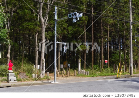 Around Funabashi Prefectural Forest, Funabashi City, Chiba Prefecture, April 2026 139078492