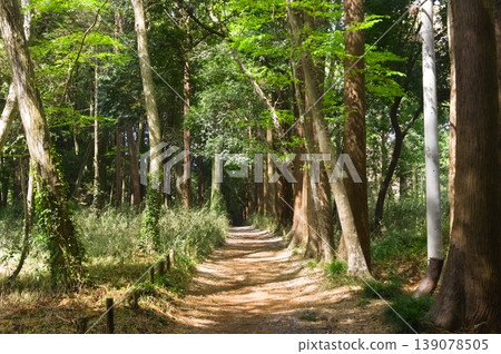 Around Funabashi Prefectural Forest, Funabashi City, Chiba Prefecture, April 2026 139078505