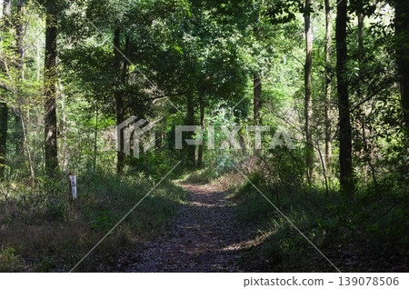 Around Funabashi Prefectural Forest, Funabashi City, Chiba Prefecture, April 2026 139078506