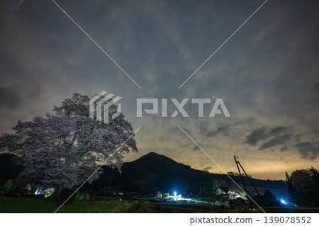 The beautiful night cherry blossoms in Tojo-cho, Shobara City, Hiroshima Prefecture, Japan The beautiful night cherry blossoms in Tojo-cho, Shobara City, Hiroshima Prefecture, Japan 139078552