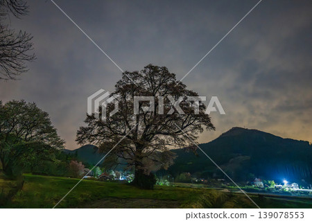 The beautiful night cherry blossoms in Tojo-cho, Shobara City, Hiroshima Prefecture, Japan The beautiful night cherry blossoms in Tojo-cho, Shobara City, Hiroshima Prefecture, Japan 139078553