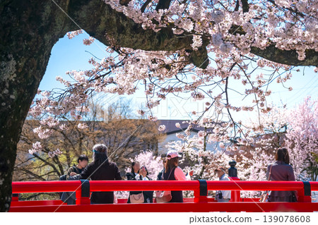 260408 Nakabashi Sakura g002 139078608