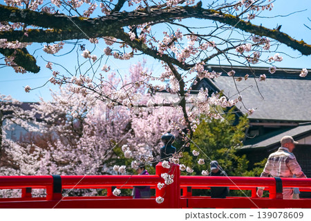 260408 Nakabashi Sakura g005 139078609