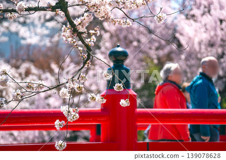260408 Nakahashi Sakura g055 139078628