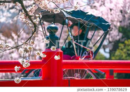 260408 Nakahashi Sakura g056 139078629