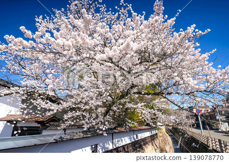 260408 江小川櫻 s019 139078770