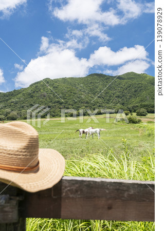 Image of early summer and fresh greenery (Hiruzen Plateau) Image of early summer and fresh greenery (Hiruzen Plateau) 139078929