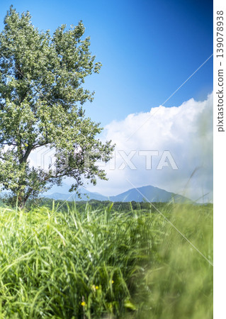 Image of early summer and fresh greenery (Hiruzen Plateau) Image of early summer and fresh greenery (Hiruzen Plateau) 139078938