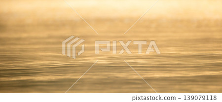 水面上的晨霧 139079118