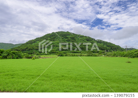 石垣島風景寧靜優美,擁有廣闊的綠色草地和綿延起伏的山丘。 石垣島風景寧靜優美,擁有廣闊的綠色草地和綿延起伏的山丘。 139079155