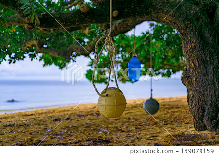 Sakieda Minamihama beach is striking with its shaded beach and hanging buoys. 139079159