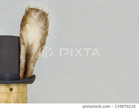 White rabbit or march hare hat. Bunny ears attached to the top hat on wooden stand. Hatter Headdress for Alice in wonderland. White rabbit or march hare hat. Bunny ears attached to the top hat on wooden stand. Hatter Headdress for Alice in wonderland. 139079226