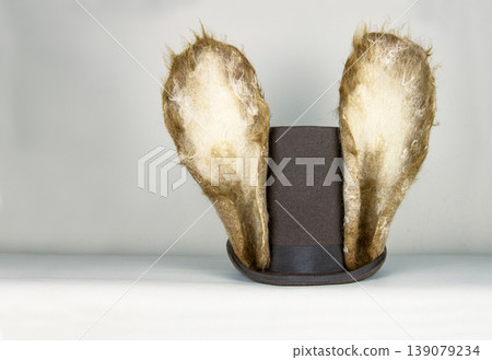Felted ears on a top hat. White rabbit or march hare hat. Bunny ears attached to the top hat on wooden stand. Hatter Headdress for Alice in wonderland. Felted ears on a top hat. White rabbit or march hare hat. Bunny ears attached to the top hat on wooden stand. Hatter Headdress for Alice in wonderland. 139079234