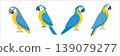 Group of four colorful cartoon parrots perched with colorful illustration tropical wildlife character peaceful charming creature 139079277