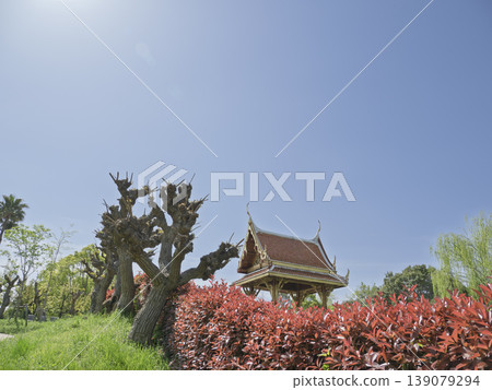 A sun-drenched, exotic landscape. Traditional Sala Thai shines in the Thai Garden at Tsurumi Ryokuchi Park. A sun-drenched, exotic landscape. Traditional Sala Thai shines in the Thai Garden at Tsurumi Ryokuchi Park. 139079294