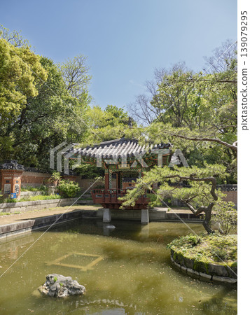 寧靜的池塘邊。鶴見綠地公園內的韓國傳統庭園建築，四周綠樹環繞。 139079295