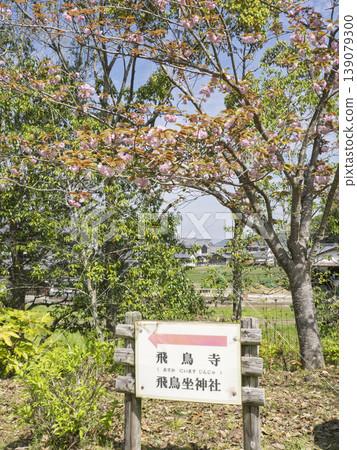A historical walk through Asuka Village, accompanied by a spring breeze. A historical walk through Asuka Village, accompanied by a spring breeze. 139079300