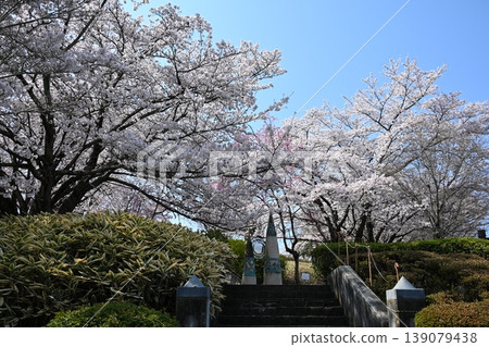 Peach Blossom Spring Festival, Yamanashi Peach Blossom Spring Festival, Yamanashi 139079438