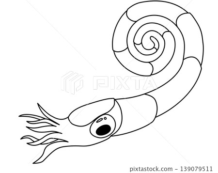 A pop-style illustration of Anethoceras alduennese (ammonite). A pop-style illustration of Anethoceras alduennese (ammonite). 139079511