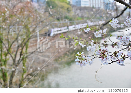 A spring scene in Ichigaya, Tokyo A spring scene in Ichigaya, Tokyo 139079515
