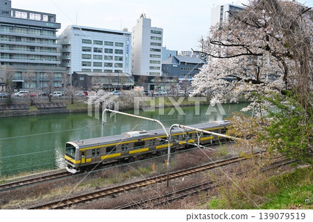 Cherry blossoms and the Sobu Line, Tokyo Cherry blossoms and the Sobu Line, Tokyo 139079519