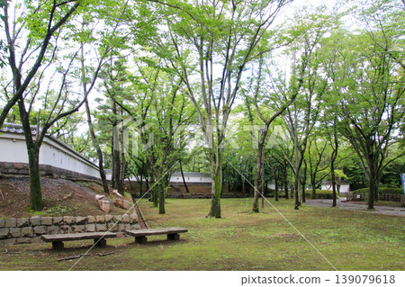 Oshiro Oshiro 139079618