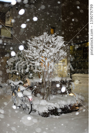 積雪覆蓋的木頭 積雪覆蓋的木頭 139079799