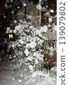 雪堆的街道樹 139079802